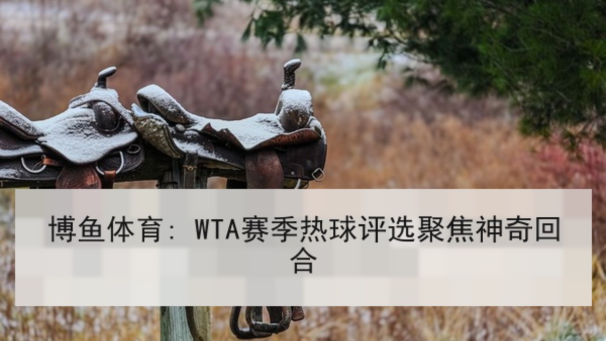 博鱼体育: WTA赛季热球评选聚焦神奇回合 博鱼体育: WTA赛季热球评选聚焦神奇回合